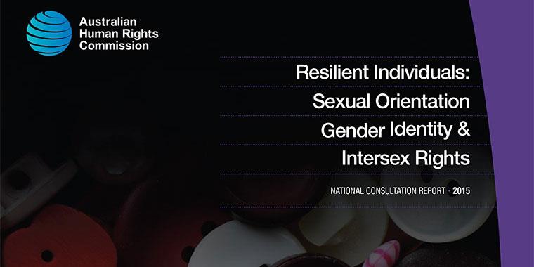 2015 06 10 SOGII Rights Report2015 coverweb