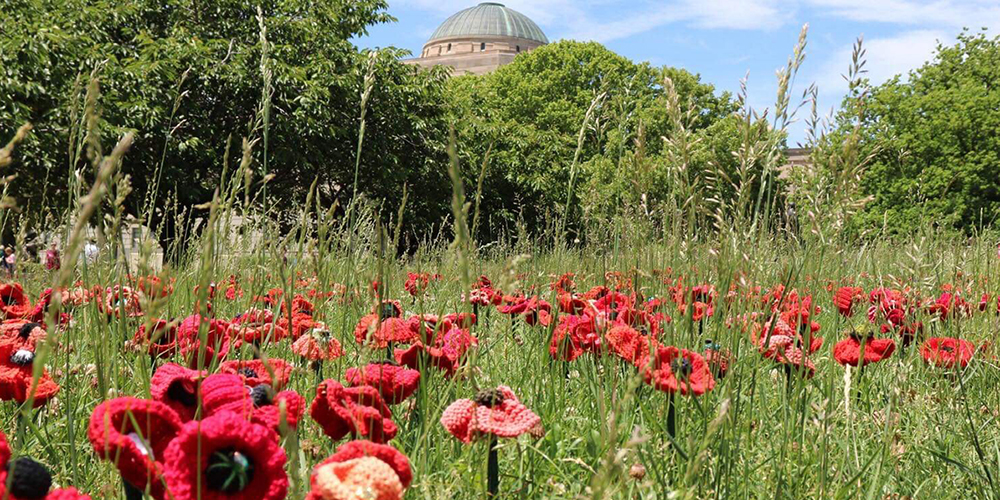 War Memorial Poppies2